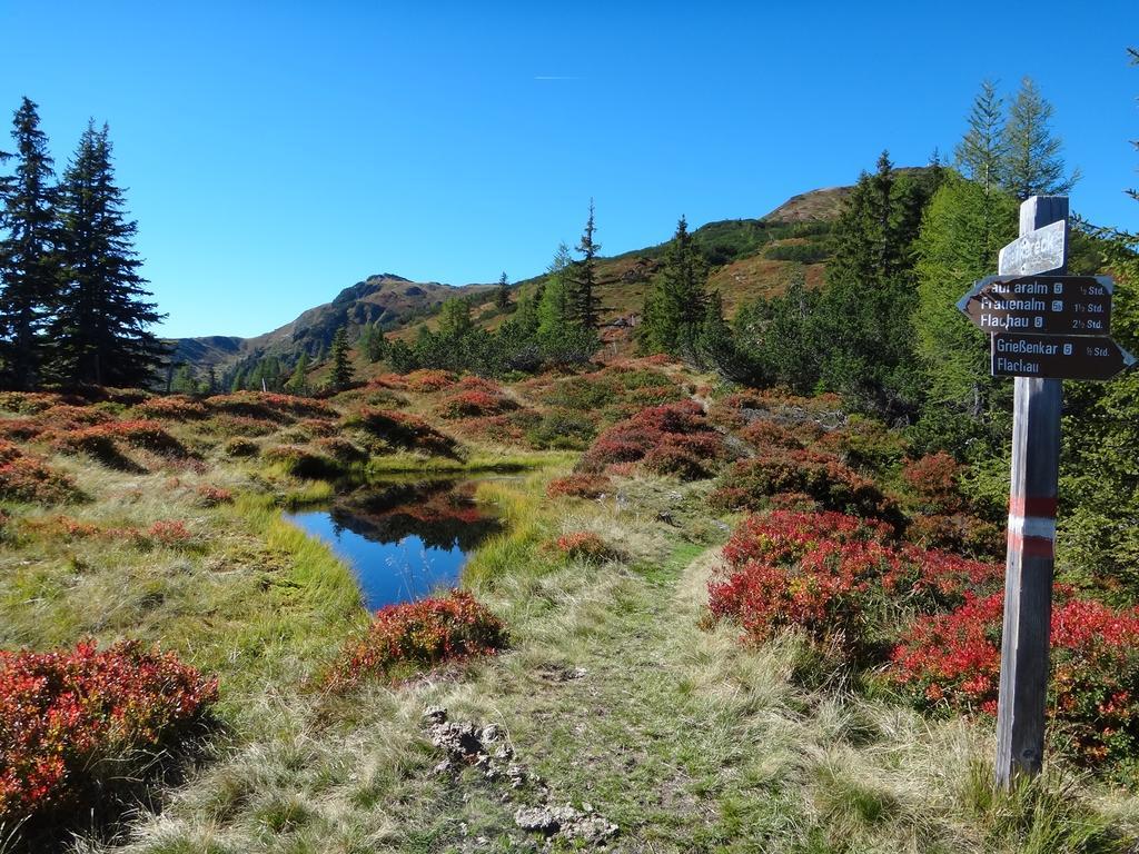 Ausserraingut Flachau Kültér fotó