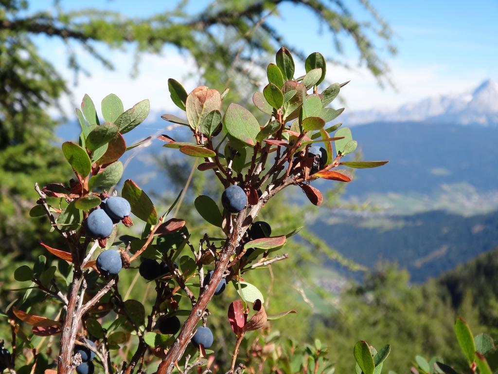 Ausserraingut Flachau Kültér fotó
