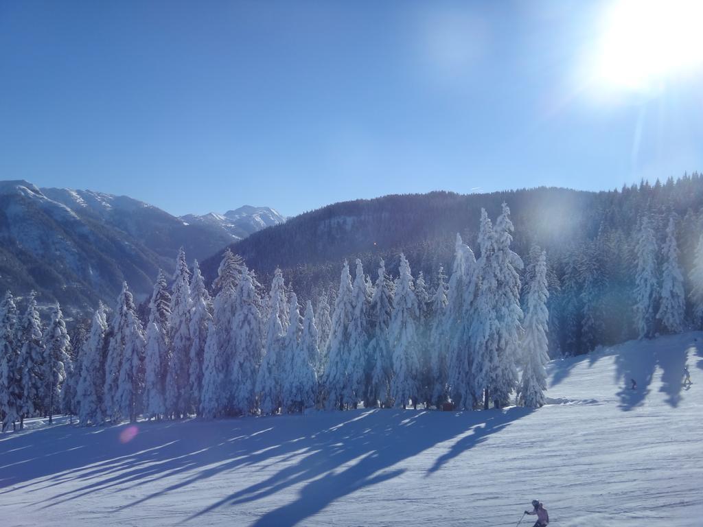 Ausserraingut Flachau Kültér fotó